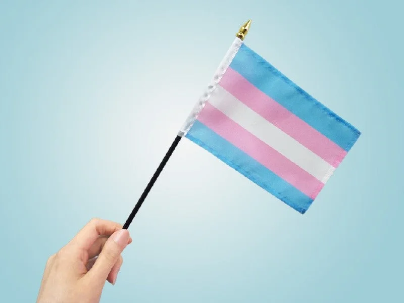 sex toy storage bags-''Transgender'' Pride -Stick Flag 4 x 6''